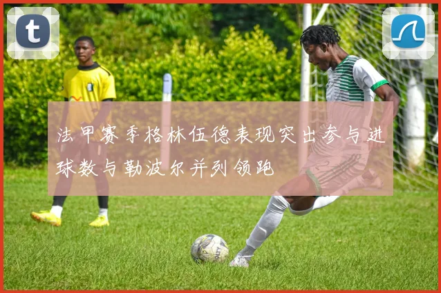 法甲赛季格林伍德表现突出参与进球数与勒波尔并列领跑