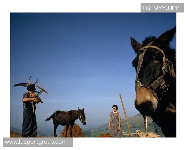 19岁葡萄牙边锋瓦雷拉即将加盟乔治罗尼亚引发关注