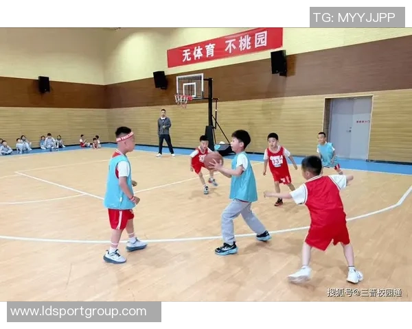 篮球教会我们的合作精神与高效问题解决能力的深刻启示